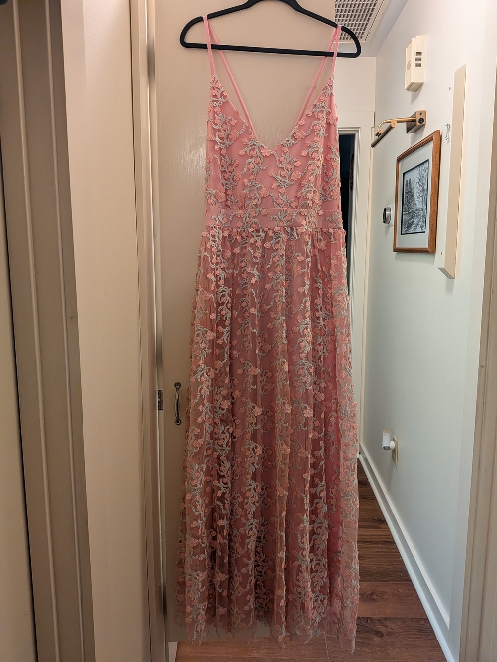 ARULA Pink Lace Maxi Dress with White Embroidery Size B (2X)
